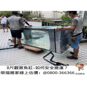 【重物搬運實錄】搬家公司有搬玻璃八尺大魚缸經驗嗎？